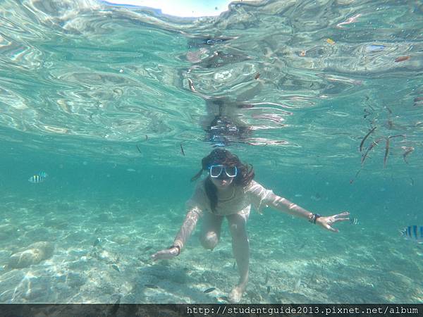 Nalusuan island (15).JPG