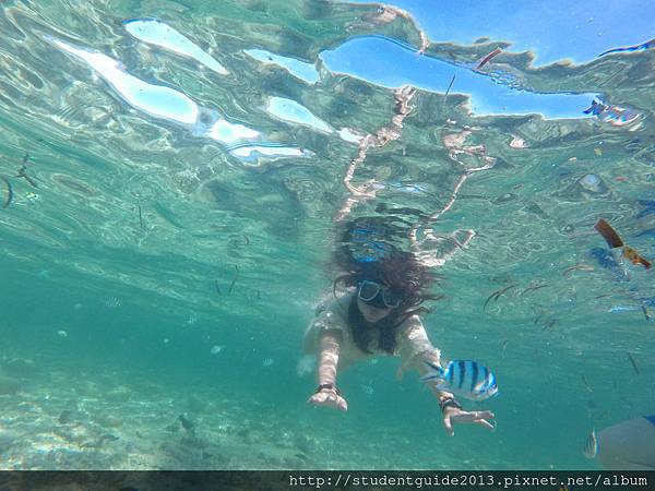 Nalusuan island (17).JPG