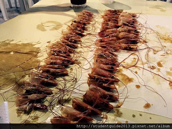 Bucket Shrimps (9)