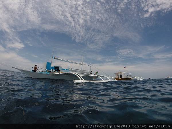 Nalusuan diving 0711 (36).JPG