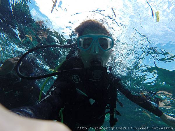 Nalusuan diving 0711 (39).JPG