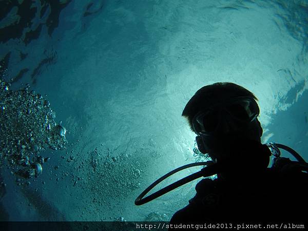 Nalusuan diving 0711 (50).JPG