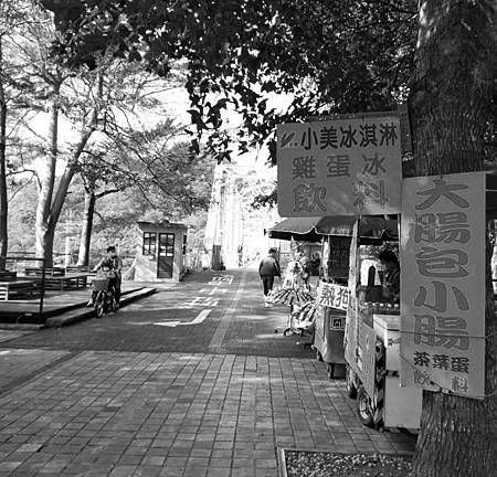 騎進第九隧道前必須以花梁鋼橋越過大甲溪