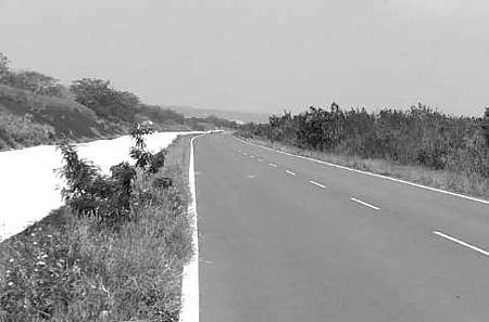 鳥嘴潭專用道路-彰化段 鳥嘴潭專用道路-彰化段