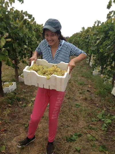 澳洲打工度假計畫10週語言學校+採葡萄工作 (2) 澳洲打工度假計畫10週語言學校+採葡萄工作 (2)