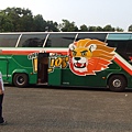 lions 047.jpg