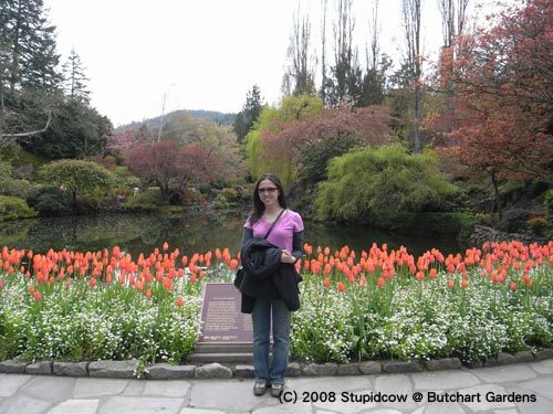 (C) 2008 Stupidcow @ Butchart Gardens