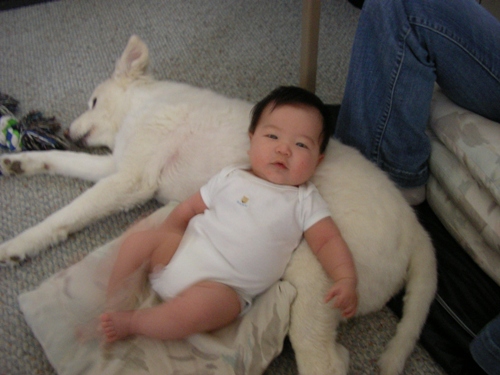 baby&dog