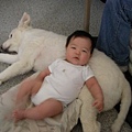 baby&dog