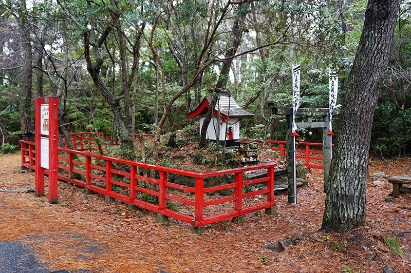 2024.01.22 宮城県 (松島、田代島)、岩手県 (盛