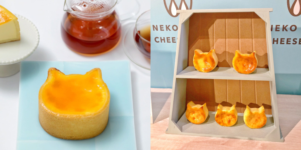 NEKO NEKO CHEESECAKE貓貓起司蛋糕2.jpg