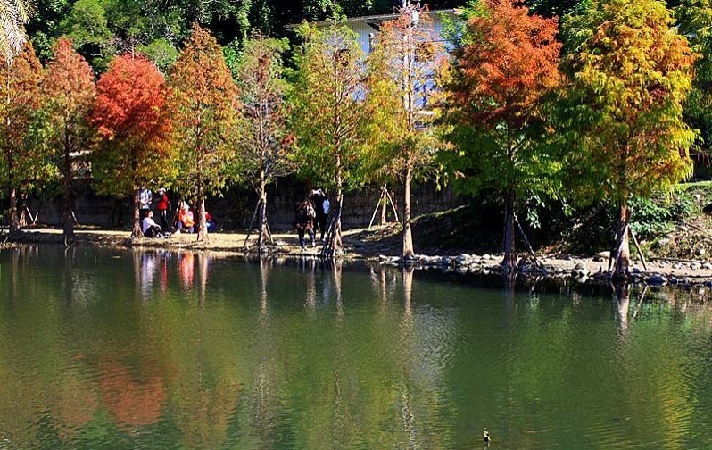 桃園大溪月眉人工溼地生態公園.JPG