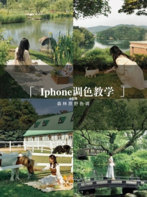 森林原野色调1.JPG