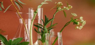 LINLANG臉部保養新品登場 溫潤植萃配方揉和高效科學成分