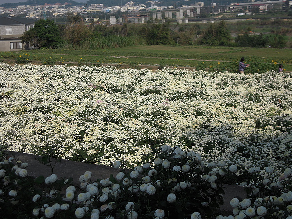 DSCN5944.jpg