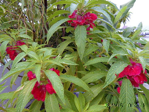 JQ4QmuMbapisST9GiG_rhA JQ4QmuMbapisST9GiG_rhA