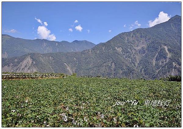 東埔行 856.jpg