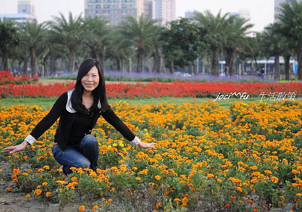 小確性花海 104.jpg