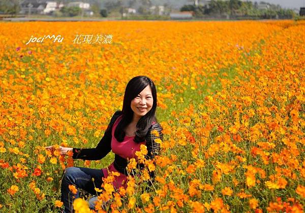 美濃花海 073.jpg