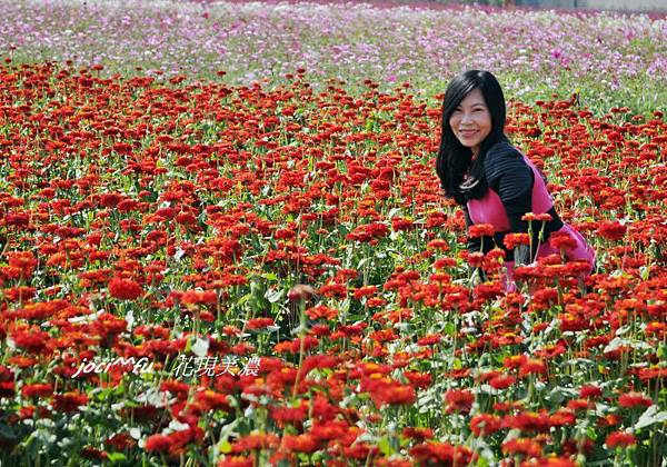 美濃花海 106.jpg