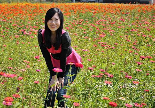 美濃花海 141.jpg