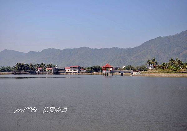 美濃花海 153.jpg