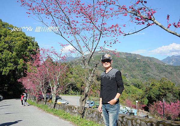 中部賞櫻 438.jpg