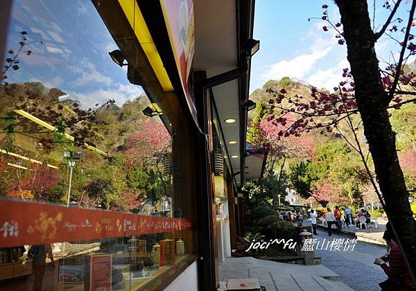 中部賞櫻 528.jpg