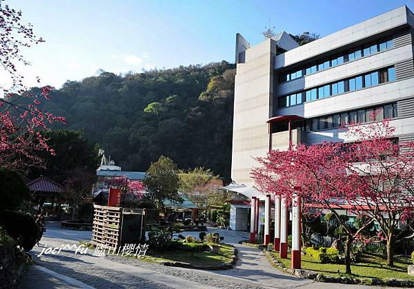 中部賞櫻 578.jpg