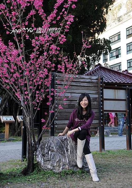 中部賞櫻 607.jpg