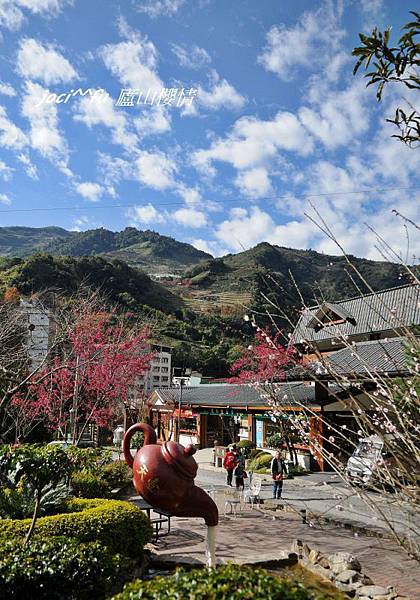 中部賞櫻 700.jpg