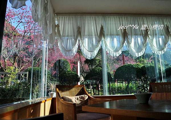 中部賞櫻 558.jpg