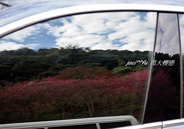 中部賞櫻 860.jpg