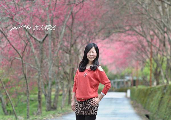 賞櫻去 147.jpg