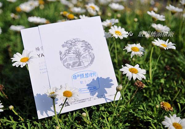 橋頭糖廠 058.jpg