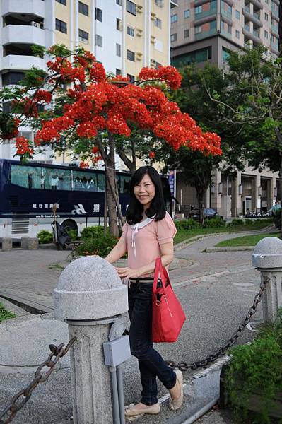 午後散策 022.JPG