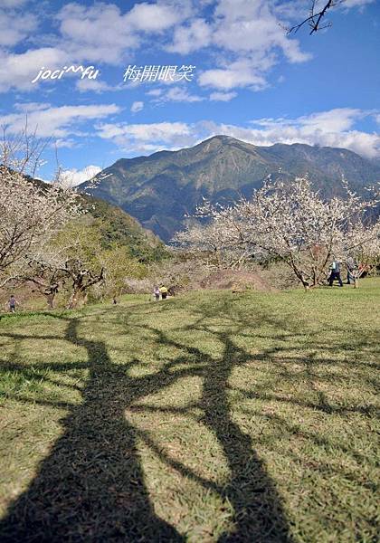 梅開眼笑 152.jpg