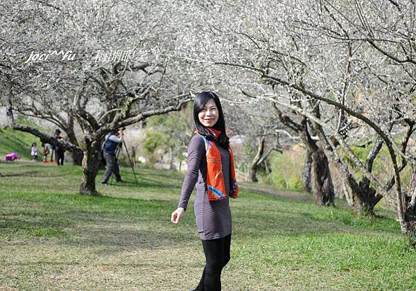 梅開眼笑 193.jpg