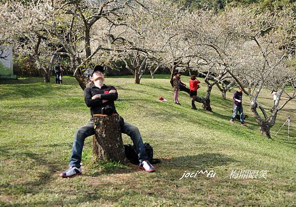 梅開眼笑 213.jpg