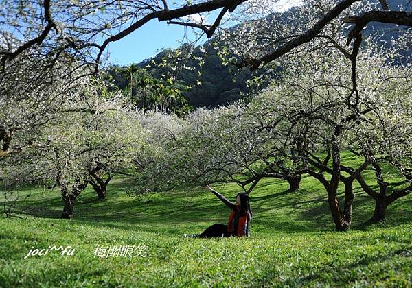 梅開眼笑 271.jpg