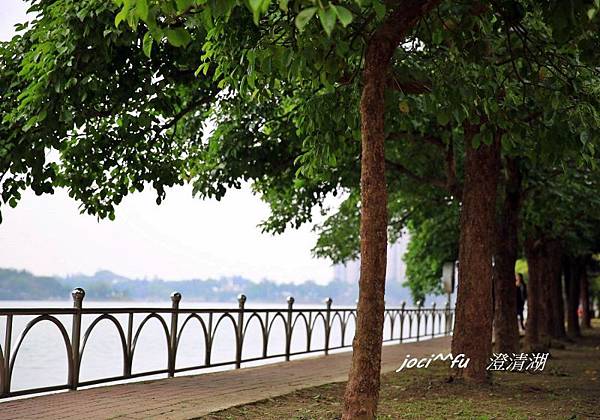 澄清湖 042 - 複製.jpg