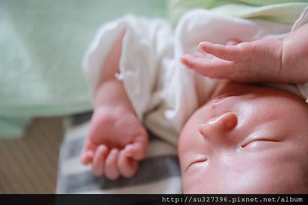 阿寶131113 062.JPG