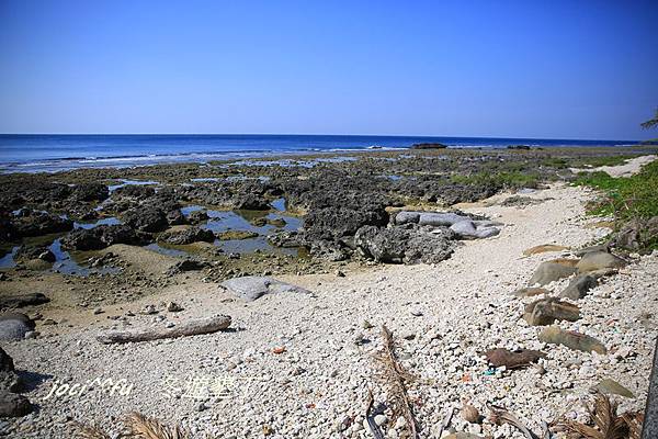 冬遊墾丁 274.JPG