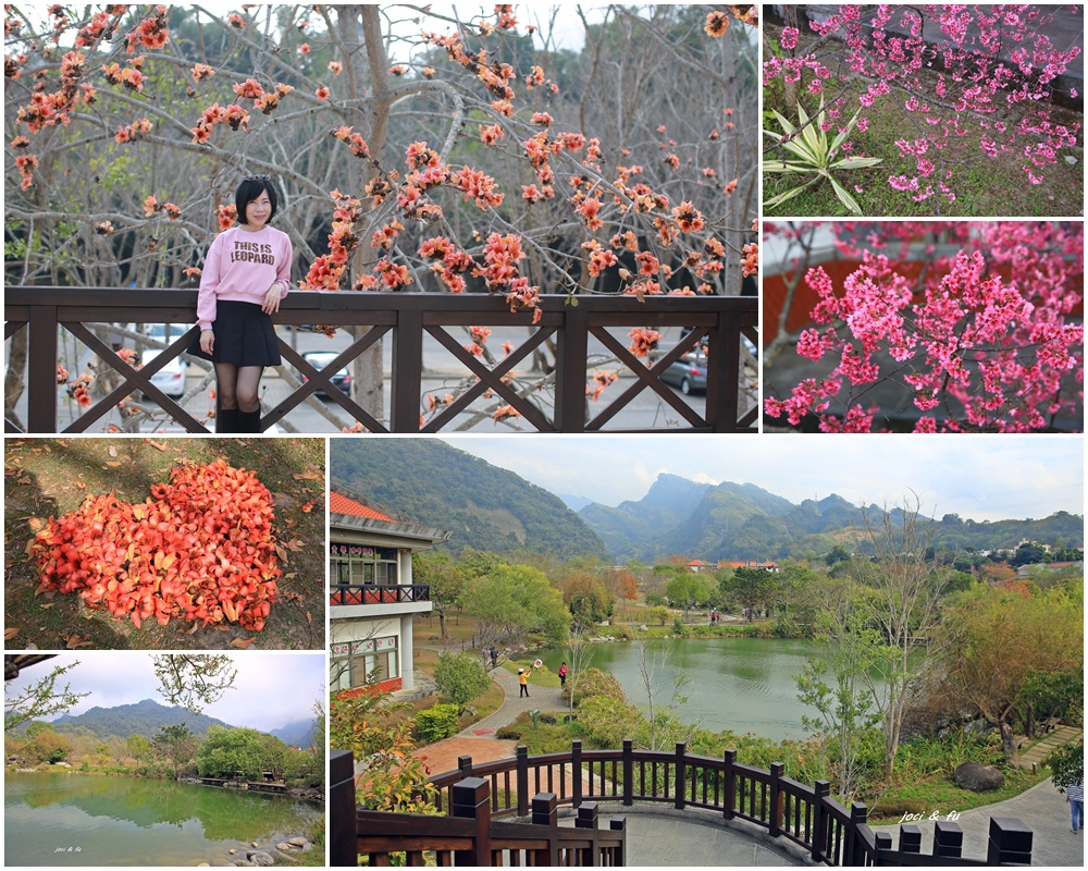 雪霸國家公園,汶水遊客中心,櫻花,木棉花,清安豆腐街,蓮臺山妙音淨苑,生態景觀湖,苗栗,大湖,賞花,洗水