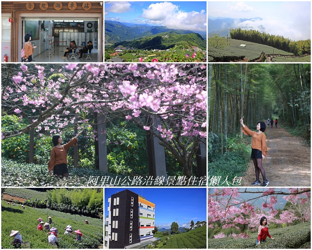 阿里山公路,阿里山國家風景區,二延平步道,頂石棹步道,頂湖自然生態公園,大凍山,阿里山森林鐵路,阿里山,懶人包,住宿,公田彌陀禪寺,櫻花,得恩亞納 , 優遊吧斯,阿里山森林遊樂區,奮起湖,頂石棹,民宿,達娜伊谷,靈隱寺,旺萊山愛情大草原, 觸口,嘉義