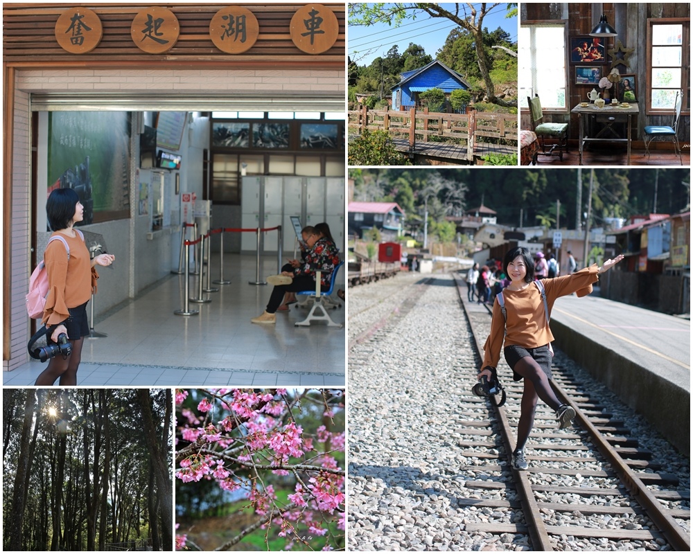 奮起湖,阿里山森林鐵路,奮起湖車站,百年肖楠林,老街,星空小屋,杉林步道,嘉義,阿里山,鐵路,步道,登山,車站,小火車