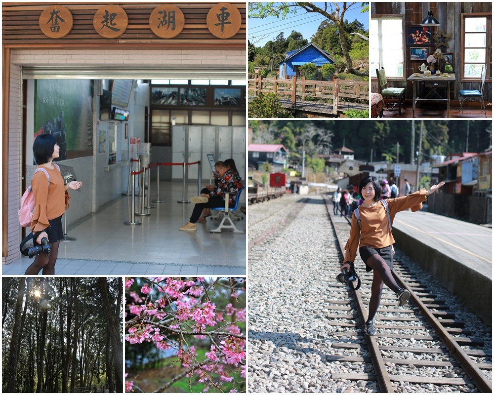 嘉義,阿里山,奮起湖,老街,鐵路,步道,登山,車站,小火車,鐵道,嘉義景點