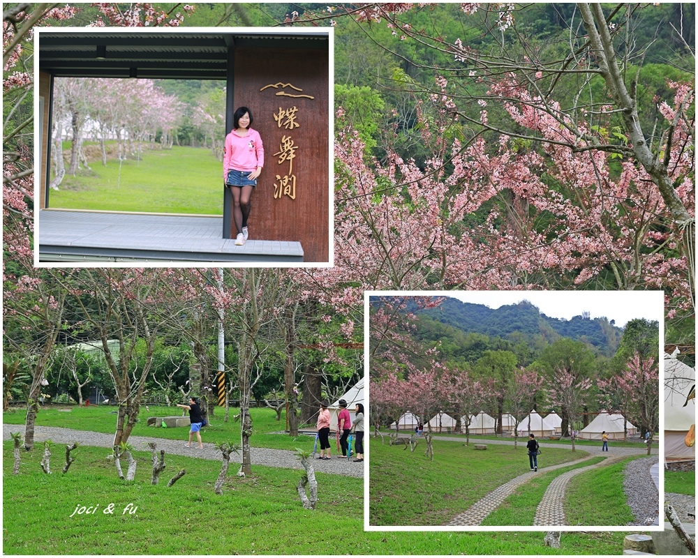 蝶舞澗休閒農場,花旗木,美濃,蒙古包露營區,溫室餐廳,九重葛,樹西瓜,高雄