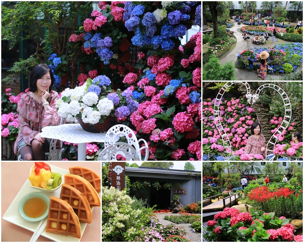 苗栗,卓蘭,花露農場,繡球花,賞花,花海,紫陽花,打卡,拍照,花牆,樹屋,玻璃花屋,IG,民宿,部落,苗栗住宿