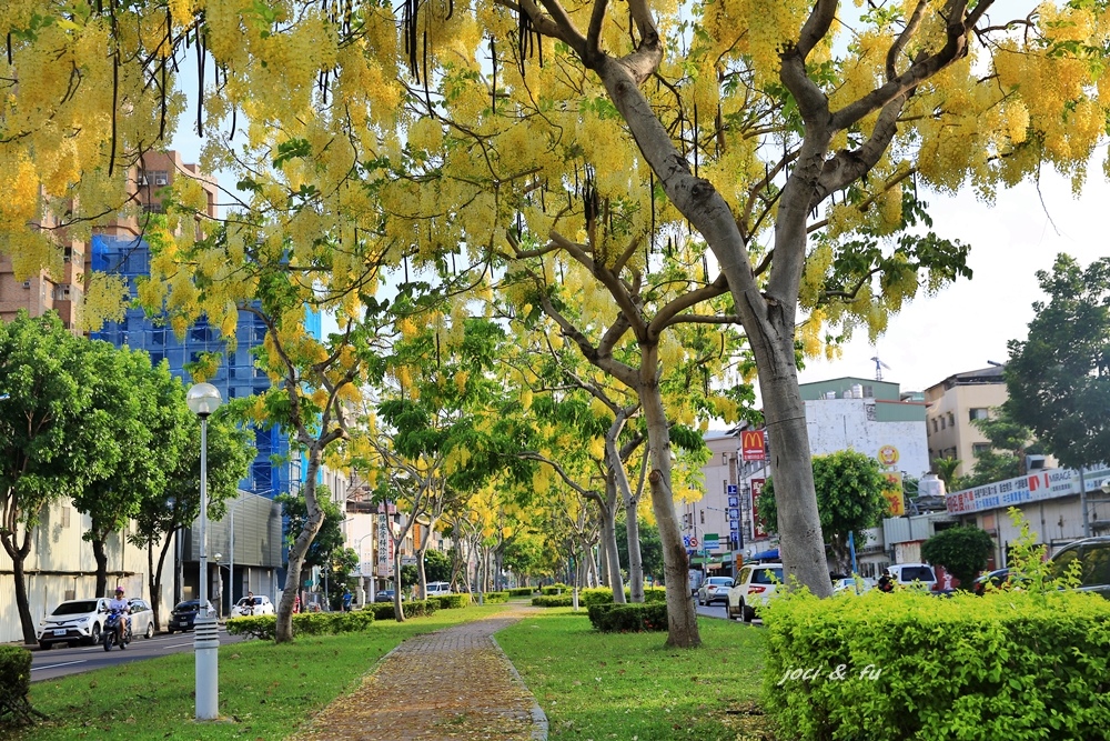 高雄,九如四路,阿勃勒步道,黃金雨,內惟市場,果貿社區,振才幼兒園,鼓山,阿勃勒,步道